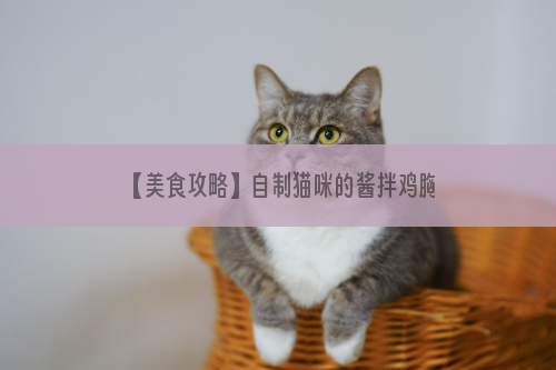 【美食攻略】自制猫咪的酱拌鸡胸肉