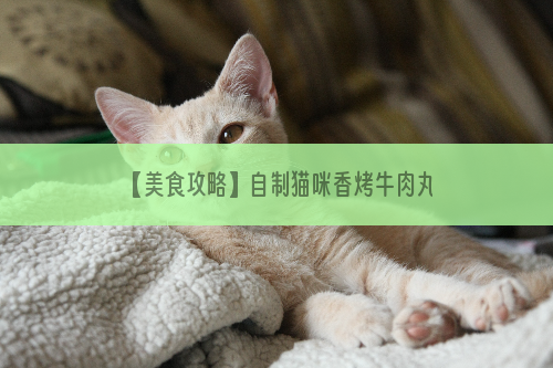 【美食攻略】自制猫咪香烤牛肉丸