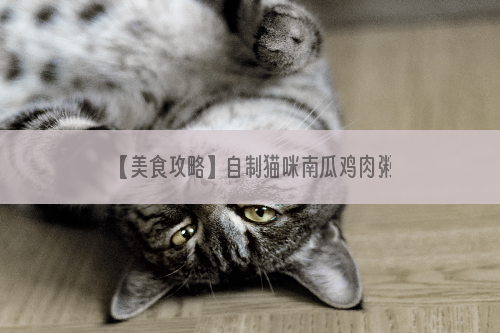 【美食攻略】自制猫咪南瓜鸡肉粥