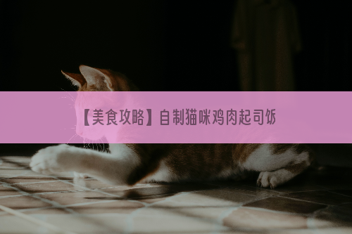 【美食攻略】自制猫咪鸡肉起司饭