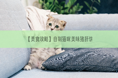【美食攻略】自制猫咪美味猪肝饼干