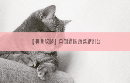 【美食攻略】自制猫咪蔬菜猪肝汤