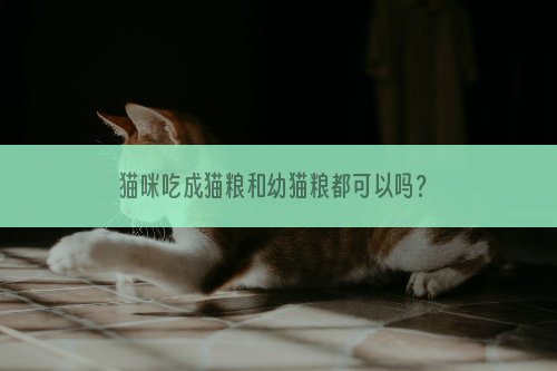 猫咪吃成猫粮和幼猫粮都可以吗？