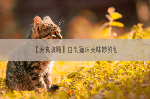 【美食攻略】自制猫咪美味妙鲜包