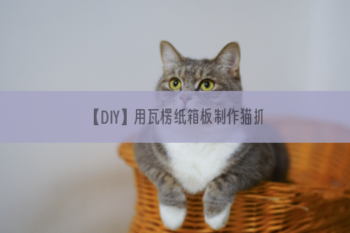 【DIY】用瓦楞纸箱板制作猫抓板