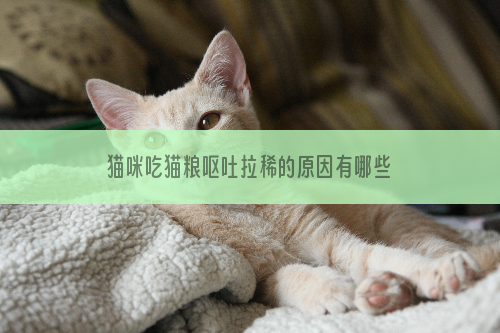 猫咪吃猫粮呕吐拉稀的原因有哪些