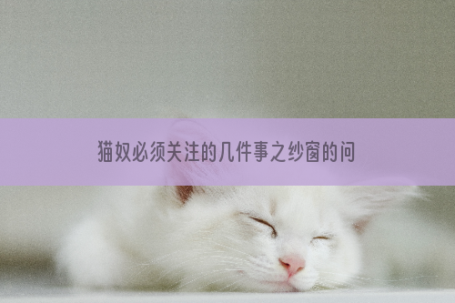 猫奴必须关注的几件事之纱窗的问题