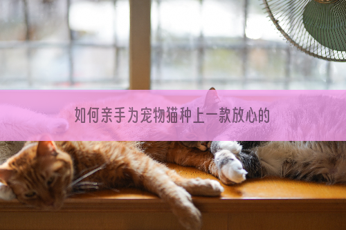如何亲手为宠物猫种上一款放心的猫草