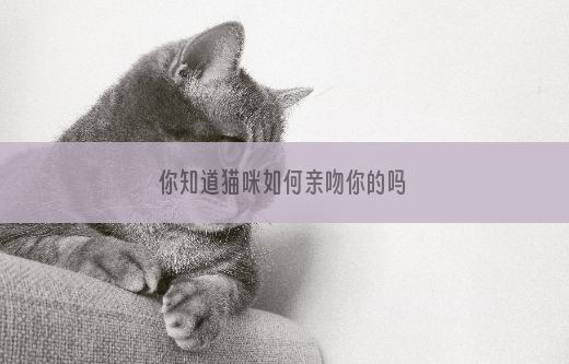 你知道猫咪如何亲吻你的吗