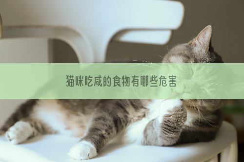 猫咪吃咸的食物有哪些危害