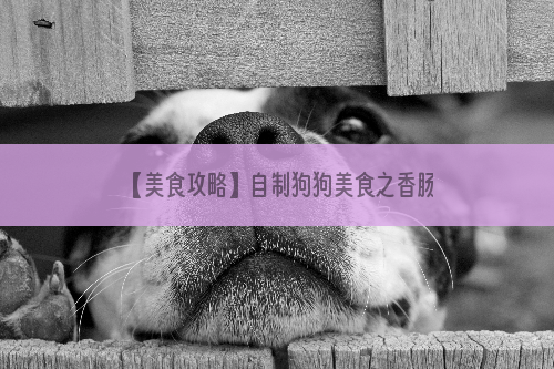 【美食攻略】自制狗狗美食之香肠鸡蛋饭