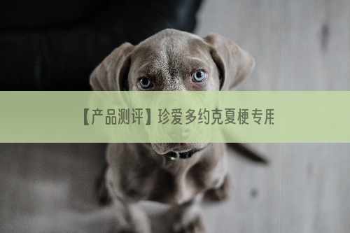 【产品测评】珍爱多约克夏梗专用成犬天然粮