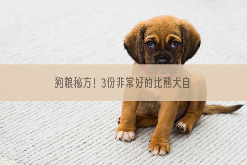 狗粮秘方！3份非常好的比熊犬自制狗粮食谱