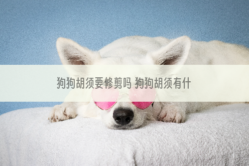 狗狗胡须要修剪吗 狗狗胡须有什么作用