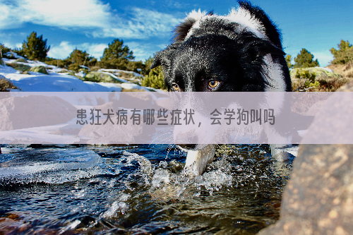 患狂犬病有哪些症状，会学狗叫吗