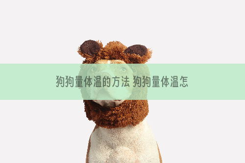狗狗量体温的方法 狗狗量体温怎么量