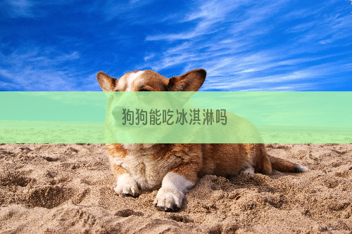 狗狗能吃冰淇淋吗