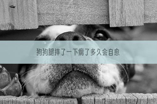狗狗腿摔了一下瘸了多久会自愈
