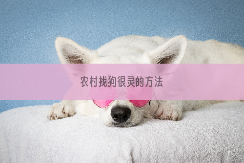 农村找狗很灵的方法