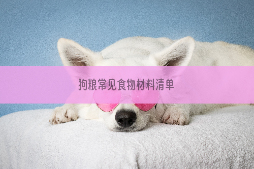 狗粮常见食物材料清单