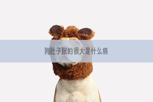 狗肚子胀的很大是什么病