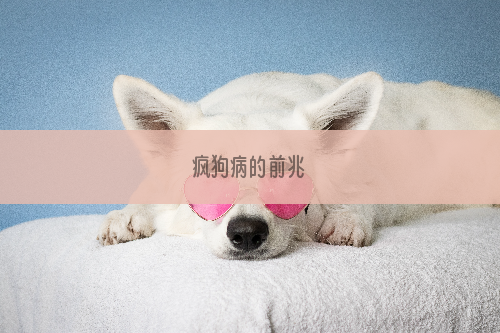疯狗病的前兆