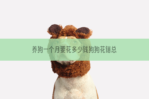 养狗一个月要花多少钱狗狗花销总结