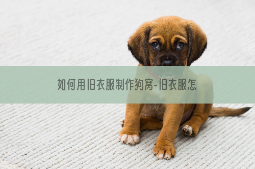 如何用旧衣服制作狗窝-旧衣服怎么做垫子