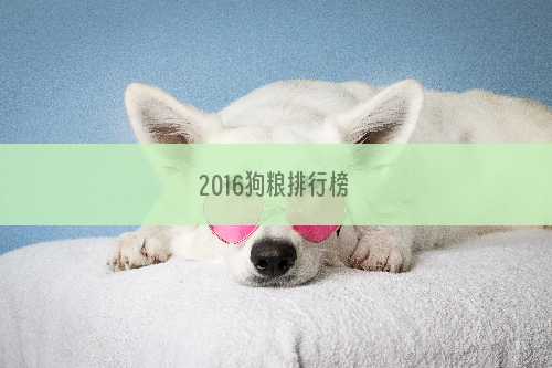 2016狗粮排行榜