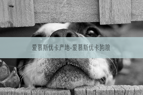 爱慕斯优卡产地-爱慕斯优卡狗粮怎么样