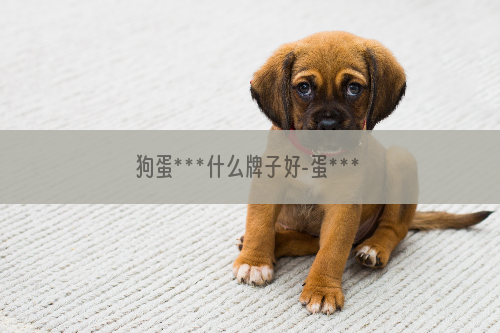 狗蛋***什么牌子好-蛋***什么牌子好？