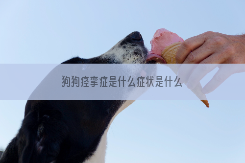 狗狗痉挛症是什么症状是什么