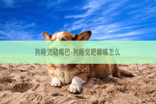 狗睡觉动嘴巴-狗睡觉吧唧嘴怎么回事