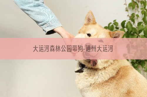 大运河森林公园带狗-通州大运河森林公园可以带狗进入么?