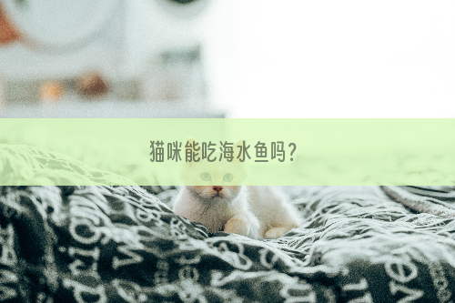 猫咪能吃海水鱼吗？