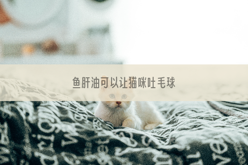 鱼肝油可以让猫咪吐毛球