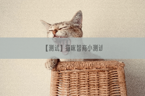 【测试】猫咪智商小测试