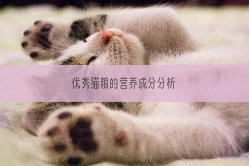 优秀猫粮的营养成分分析