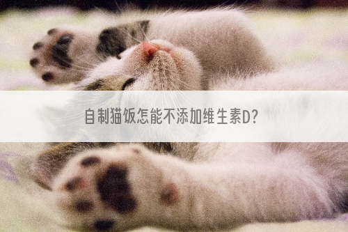自制猫饭怎能不添加维生素D？