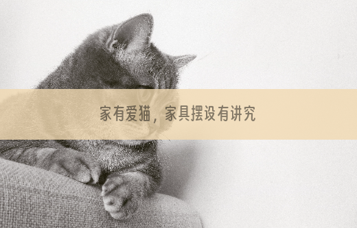 家有爱猫，家具摆设有讲究