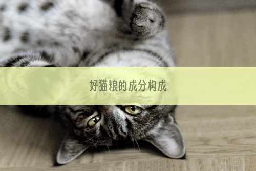 好猫粮的成分构成