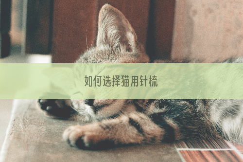 如何选择猫用针梳