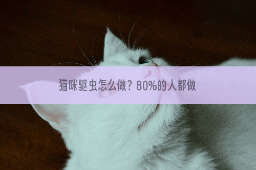 猫咪驱虫怎么做？80%的人都做错了！