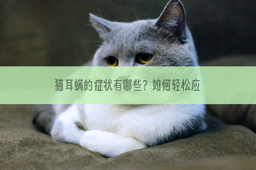 猫耳螨的症状有哪些？如何轻松应对不复发？