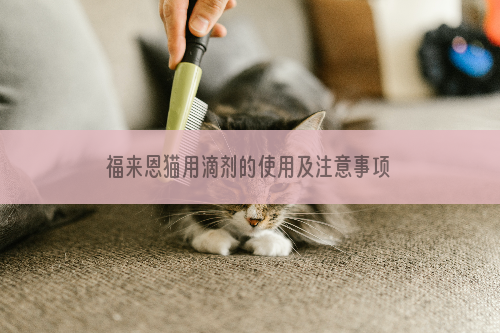 福来恩猫用滴剂的使用及注意事项