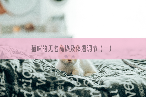 猫咪的无名高热及体温调节（一）