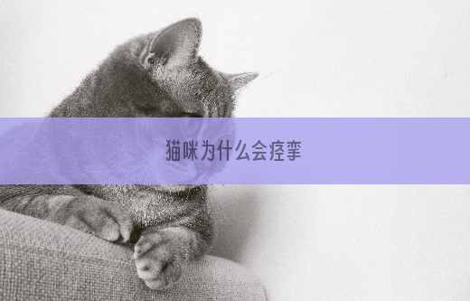 猫咪为什么会痉挛