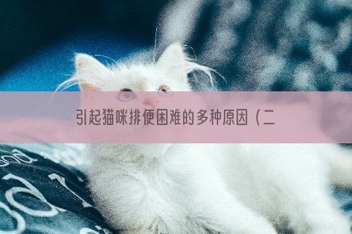 引起猫咪排便困难的多种原因（二）——电解质紊乱