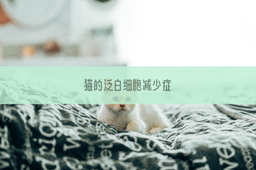 猫的泛白细胞减少症