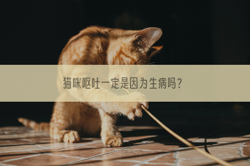 猫咪呕吐一定是因为生病吗？